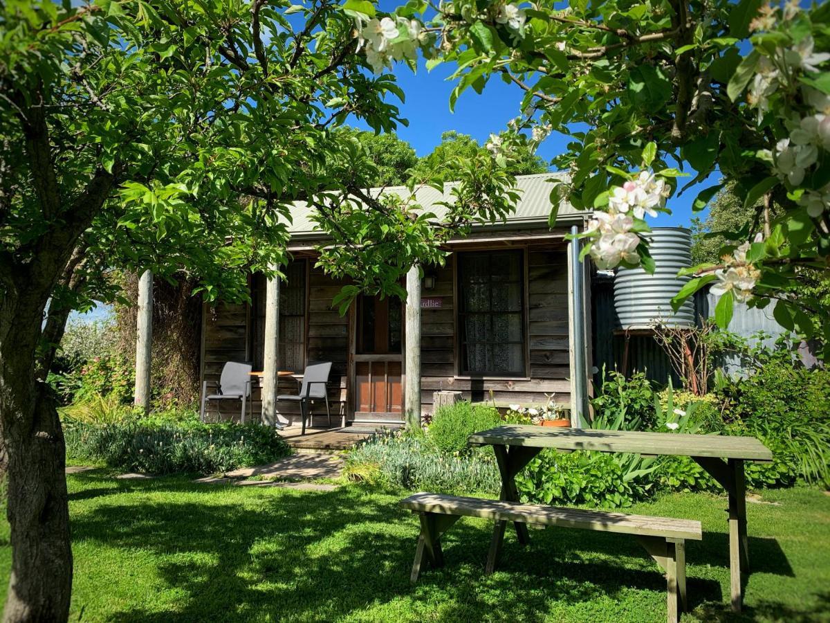Cherry Plum Cottages Порт-Фері Екстер'єр фото